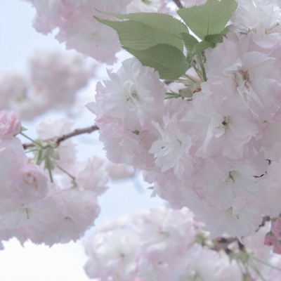 建昌福瑞交流群